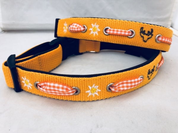 Hundehalsband Alpenfieber